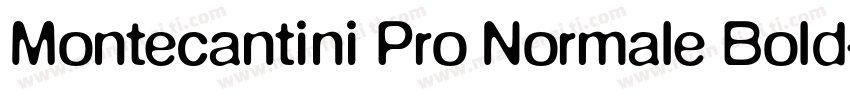 Montecantini Pro Normale Bold字体转换